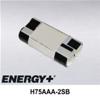 2.4V 750mAh Nickel Metal Hydride Battery