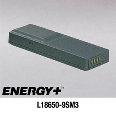 Batteria per notebook Seimens Scenic Mobile 320